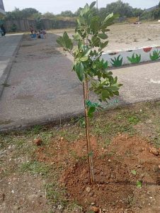 Εικόνα https://blogs.sch.gr/dpent/files/2025/06/1748893030472-226x300.jpg