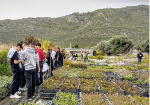 Νέα εικόνα 4