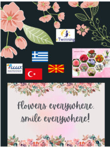 poster xara