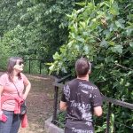 Messenger creation 7E8BABDF D0EE 49E6 99D4 2C8B612C4BCE