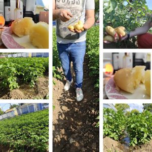 Εικόνα https://blogs.sch.gr/eeeekrod/files/2025/06/503083169_17882000160315501_7724650816034475809_n-300x300.jpg