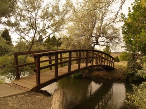 bridge_in_the_woods_by_krodys