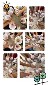 EA0F27C0 BD5E 4392 BA20 240FBF817454 COLLAGE