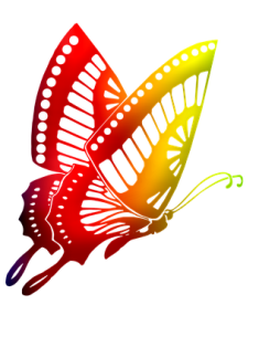 rainbow-butterflies-5166502_960_720