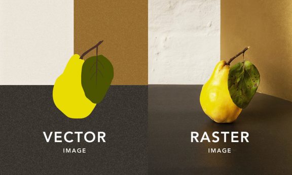 Vector and raster images