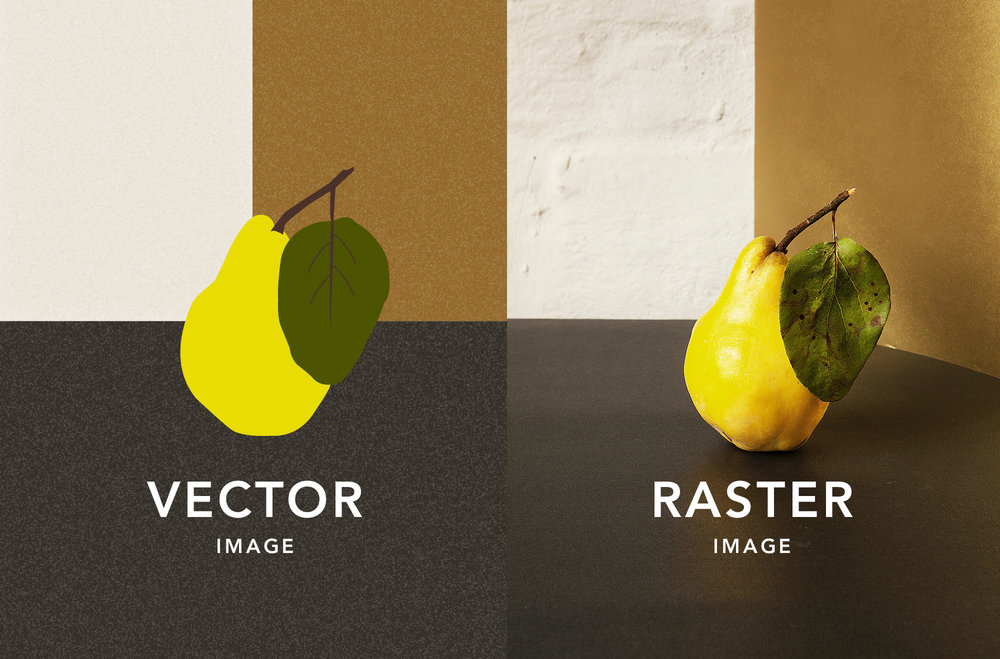 Vector and raster images