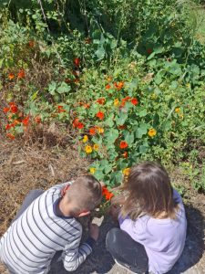 0d261ae7 7444 414c 98ae 976cd780a57e