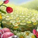 images (1)