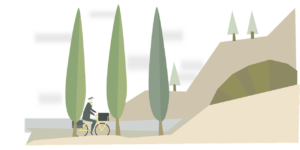bicycle 1294947 1280