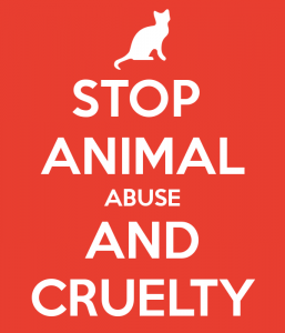 stop-animal-abuse-and-cruelty