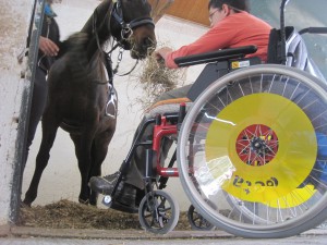 Θέλω να καλπάσω στο όνειρο μου.......... Κυριακή 15-2-2015.. 18.00-19.00. Με την ψυχή στα Πόδια. Εκπομπή των μαθητών του Ειδικού Γυμνασίου Λυκείου Αθηνών, παρουσιάζει το πρόγραμμα Θεραπευτικής Ιππασίας και Θεραπευτικής Κολύμβησης.