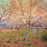 Orchard with Blossoming Apricot Trees-Vincent Van Gogh