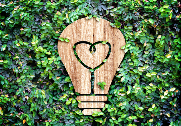 Light Bulb wood icon and heart shape inside on green leaf wall,E