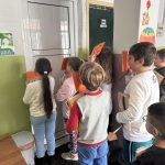 IMG 8098