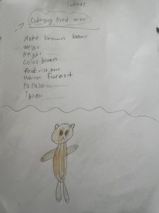 IMG 9361