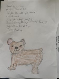 IMG 9364