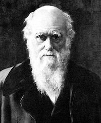 darwin_1881.jpg