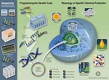 syntheticdna-large.jpg