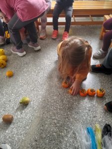 IMG 348375fe9a61a7afd89dc69b5db205ec V