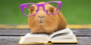 1188301 animal trivia 680