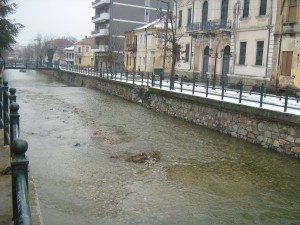 FLORINA 043