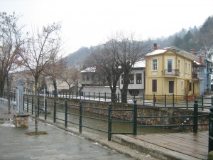 FLORINA 046