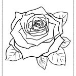 A4 zografies rose 550x777