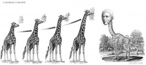 Lamarck'sGiraffe