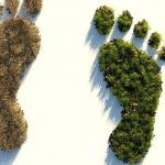 ecological footprint 4123696 960 720 39198u4ibn0uht8conrfuo