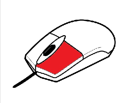 mouse