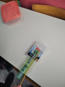 IMG 20231214 104143