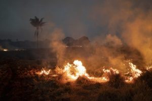 Πυρκαγιές στο τροπικό δάσος του Αμαζονίου (2019)