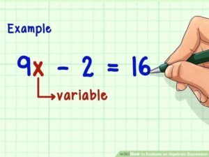 variable algebraic expression 300x225