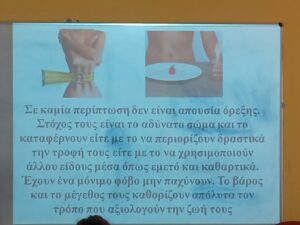 IMG 20231005 113003