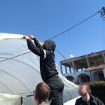 IMG 4684