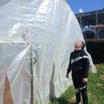 IMG 4686