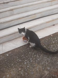 Messenger creation 2CE272E7 5692 415F B57E DD760F85E818