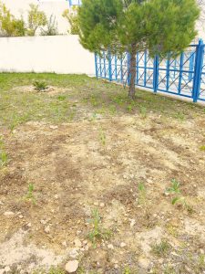 IMG 20230321 123316