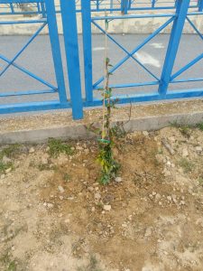 IMG 20230321 125327