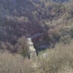 IMG 20240215 104423