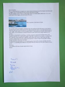 IMG 20241017 082145