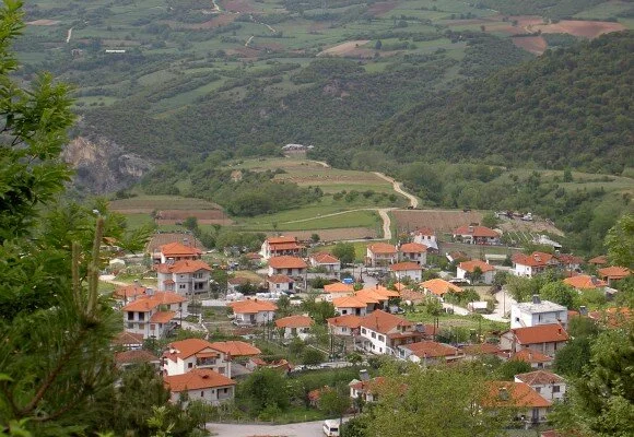 rizomata