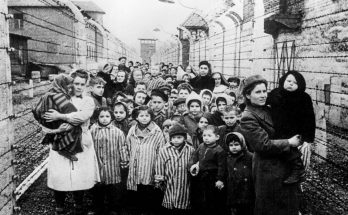 CHILDREN WHO SURVIVED AUSCHWITZ CONCENTRATION CAMP AFTER LIBERATION