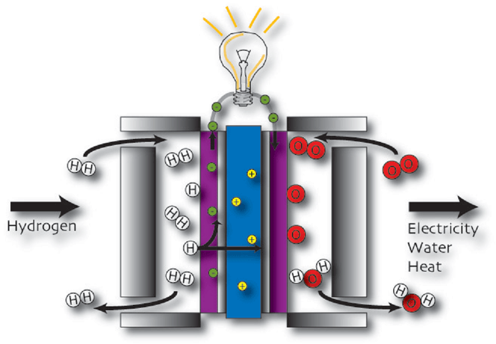 fuelcell21