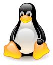 linux-penguin-tux.jpg