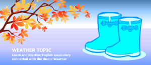 weatherTopic