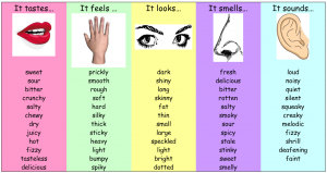 st grammar verbs of senses snip