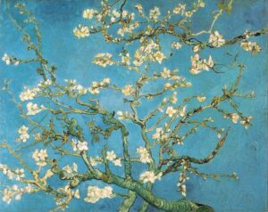 Almond tree Van Gogh