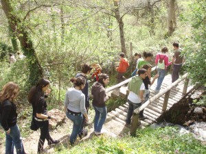 Πεζοπορία σε μονοπάτι στο δάσος και γνωριμία με το δασικό οικοσύστημα