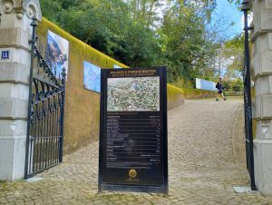 IMG20250315154004